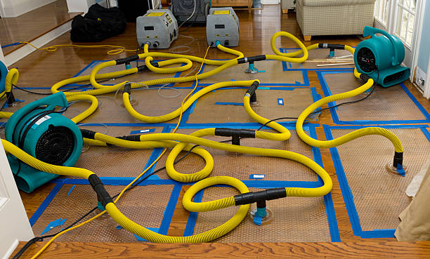 Professional Flood Damage Restoration technician working in Medina, ND
